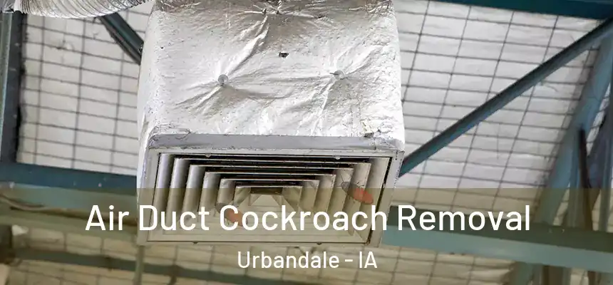  Air Duct Cockroach Removal Urbandale - IA