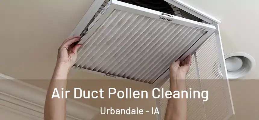  Air Duct Pollen Cleaning Urbandale - IA