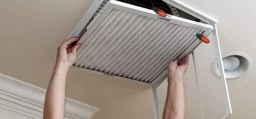 Preventive Cockroach-Proofing for Ducts in Urbandale