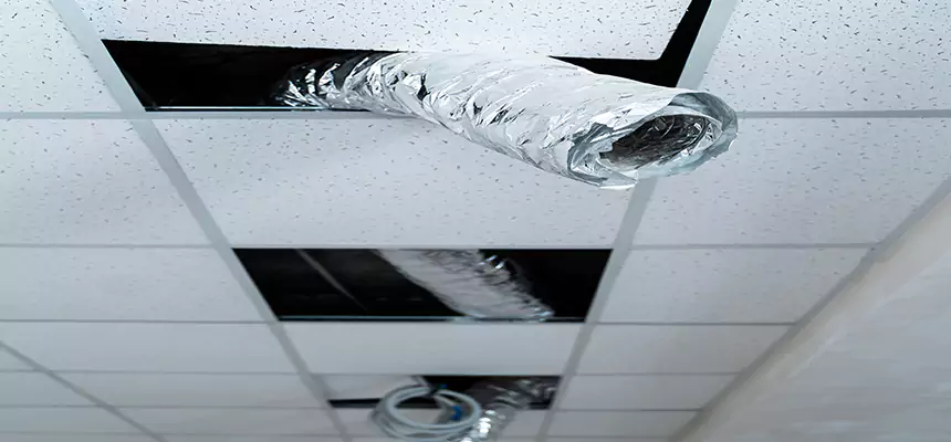 Our Air Duct Pet Hair Removal Services in Urbandale, IA