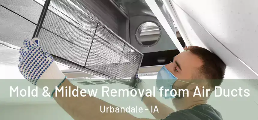  Mold & Mildew Removal from Air Ducts Urbandale - IA