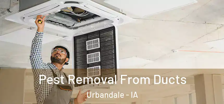  Pest Removal From Ducts Urbandale - IA