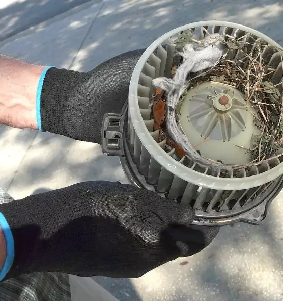 About Air Duct Mice Removal in Urbandale, IA