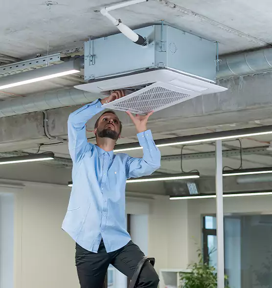 Advanced Rodent Droppings In Vents in Urbandale, IA