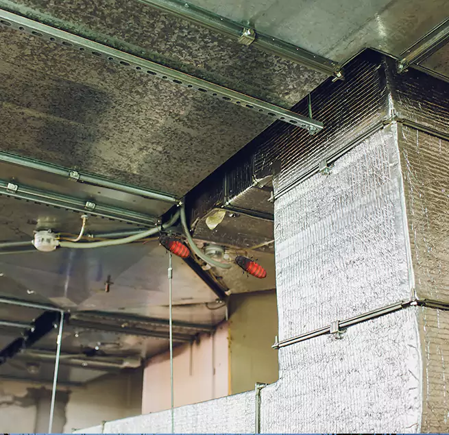 Why Homeowners & Businesses Trust Us in Urbandale, IA?